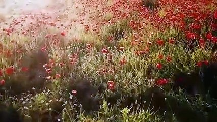 Secret Ring Of Hazrat Suleman In Urdu Hindi