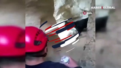 Kayalıklarda mahsur kalan köpeğin yardımına itfaiye ekipleri yetişti... Kurtarılma anı kamerada