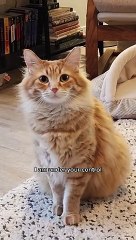 I am under your control