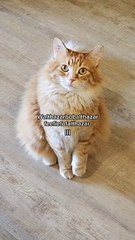 Casting a spell on me