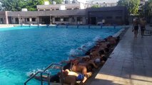 SURAT VIDEO NEWS  :  सूरत में नियमित तैराकी करने वालों की संख्या बढ़ी