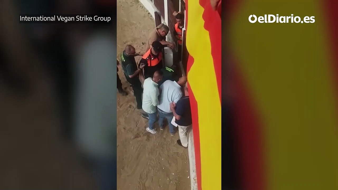 Dos activistas antitaurinos son arrastrados y golpeados en una plaza de toros de un municipio de Madrid