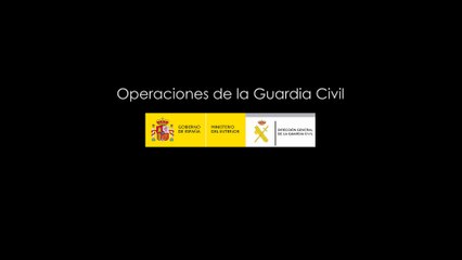Rescatan en Burgos a un cachorro de setter inglés que iba a ser sacrificado