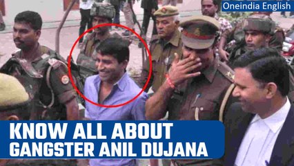 Download Video: Uttar Pradesh: Gangster Anil Dujana neutralised in an encounter in Meerut | Oneindia News