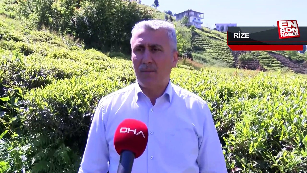 Rize'de çay üreticileri 2023 yılı, yaş çay alımı taban fiyatını değerlendirdi