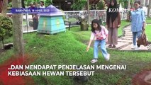 Keren! Tujuan Wisata Edukasi Hewan di Tengah Kota Jember