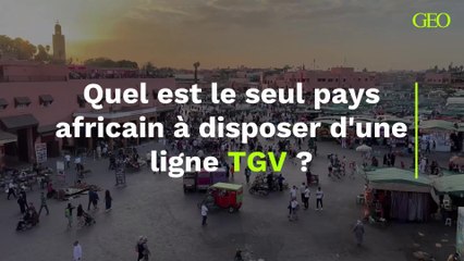 Quel est le seul pays africain à disposer d'une ligne TGV ?