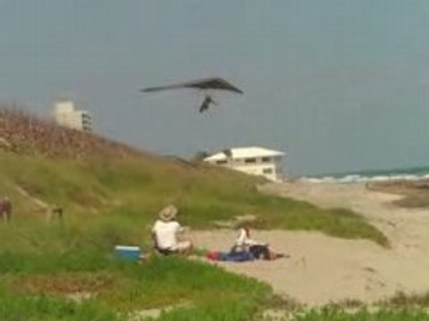 Dune Soaring On Florida Beach