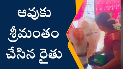 ఖమ్మం జిల్లాలో ఆవుకు సీమంతం నిర్వహించిన రైతు