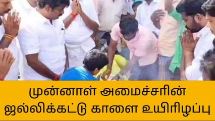 புதுகை:முன்னாள் அமைச்சரின் ஜல்லிக்கட்டு காளை உயிரிழப்பு!