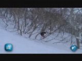 Niseko TV : Last snow report of the season