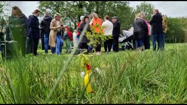 Tree planted to remember those affected by contaminated blood