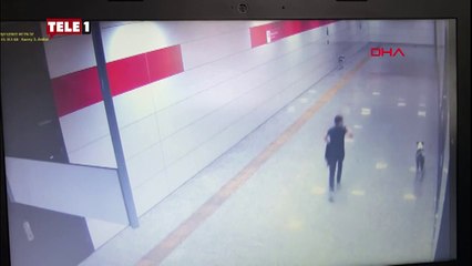 Veznecilerin kedisi Patates'i pitbulla öldürten zanlıya hapis ve kitap okuma cezası