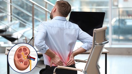 bd-enfermedades-mas-comunes-en-los-riñones-040523