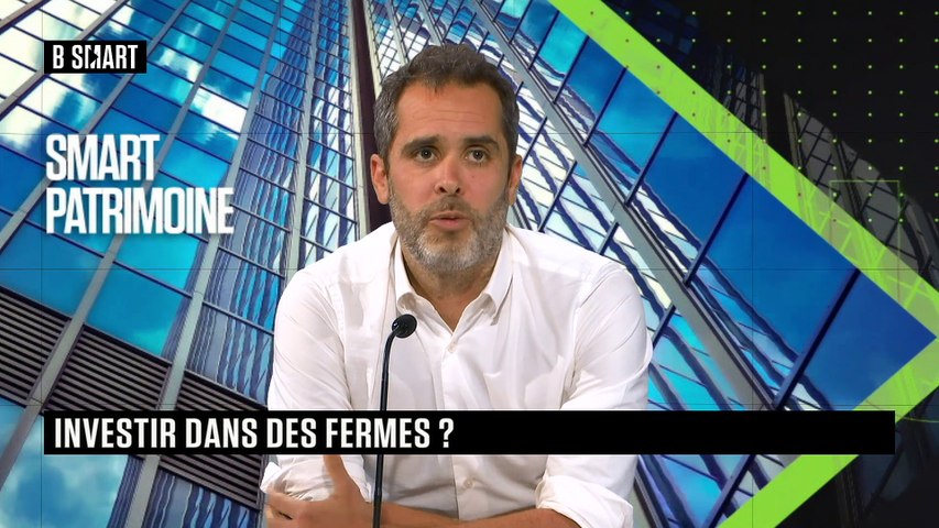 Investir dans des fermes ?