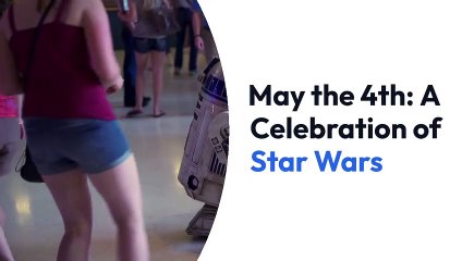 The Star wars day Diaries