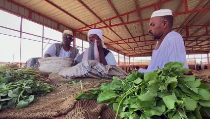 Traders in conflict-hit Sudan face difficulties as prices rocket