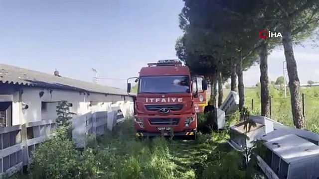 Yumurta çiftliğinde yangın çıktı: 8 bin 600 tavuk telef oldu
