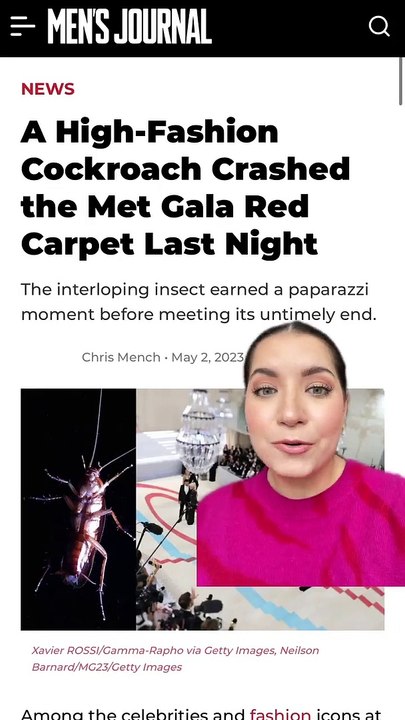 A Cockroach Crashed the Met Gala