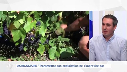 AGRICULTURE / Transmettre son exploitation ne s'improvise pas