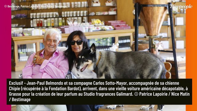 Chipie est partie : Jean-Paul Belmondo rejoint au ciel par sa fidèle complice, son fils Paul lui rend hommage