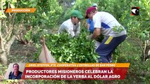 Productores misioneros celebran la incorporación de la yerba al dólar agro