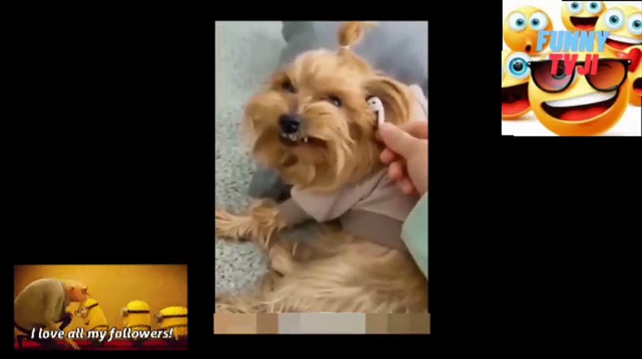 SUPER DUPER FUNNY ANIMALS 51