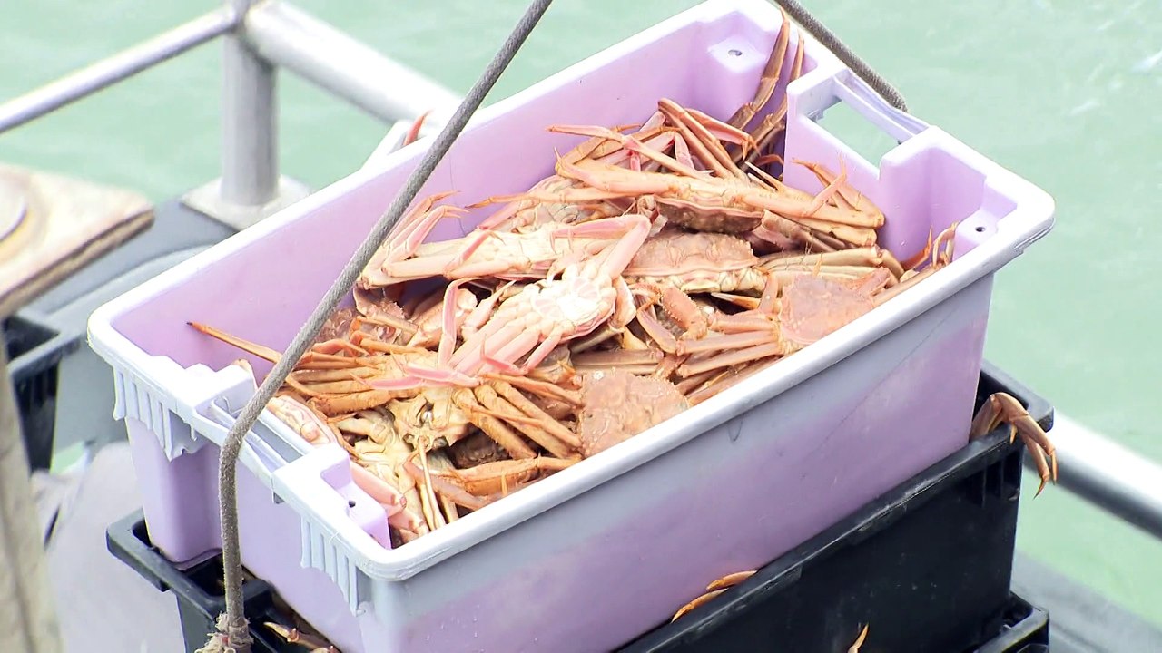 pêche au crabe : le malheur des uns fait le bonheur des autres