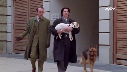 Υπαστυνόμος Ρεξ [S02E12] - Υπερβολική Δόση Θανάτου