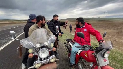 KARS - Geleneksel at yarışları düzenlendi