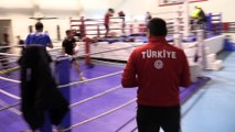 KASTAMONU - Ahıska Türkü milli boksör Sultan Osmanlı, dünya şampiyonluğu hedefliyor