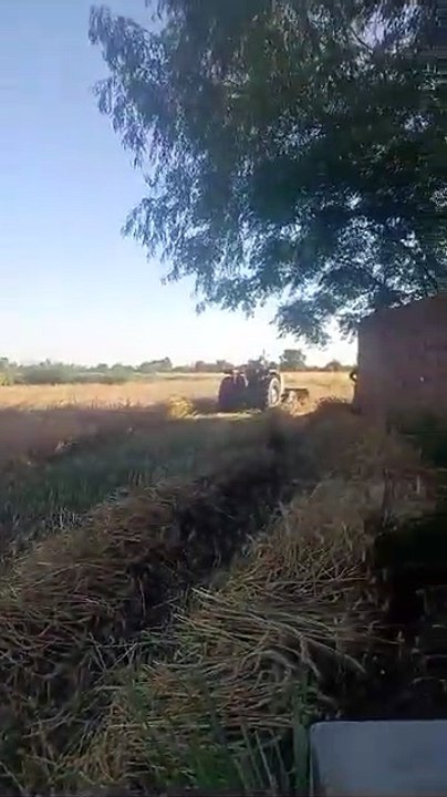 VID-20230423-WA0036