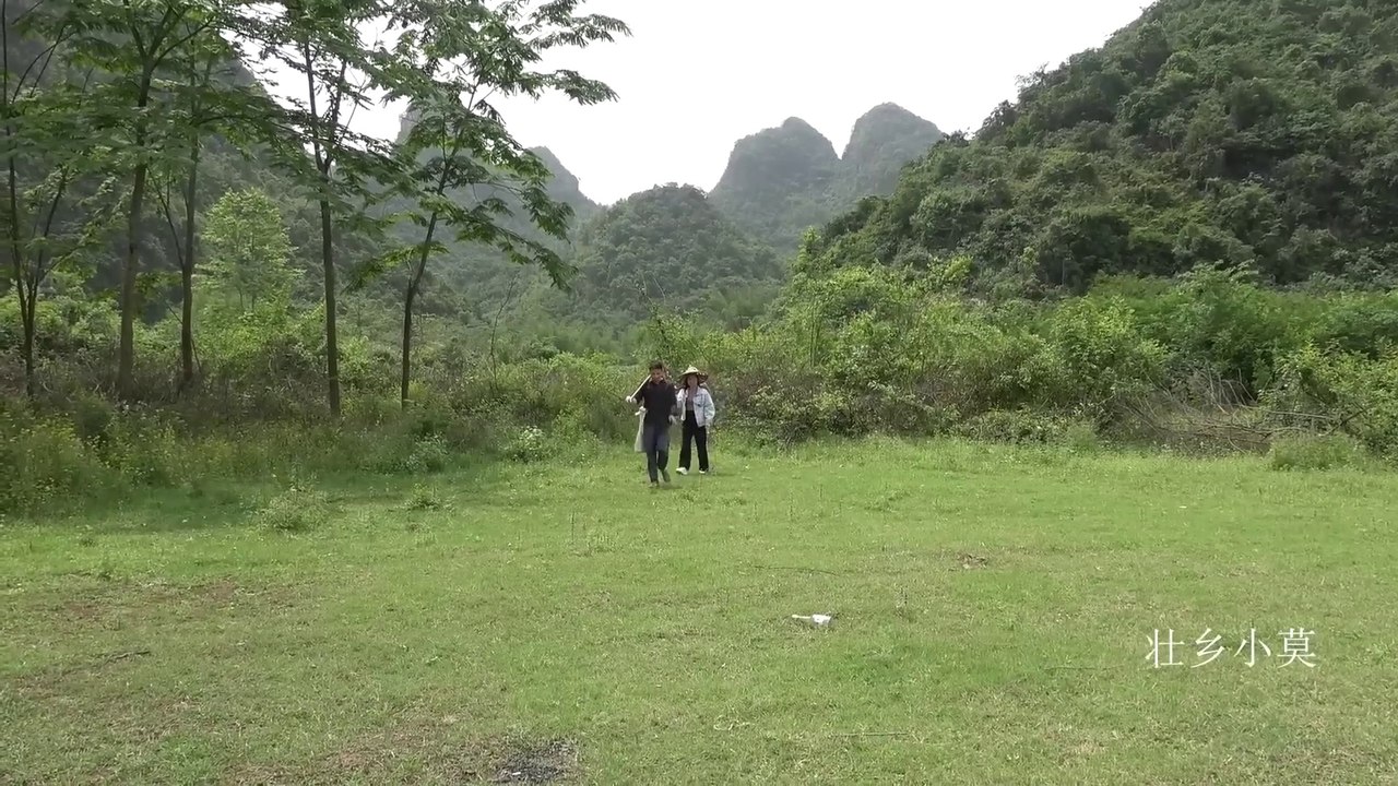小莫带农村美女进山挖牛大力，表妹开心买只烤鸡感谢，心里美滋滋的