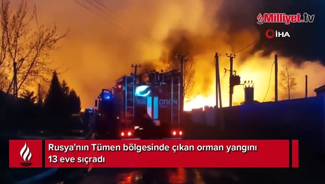 Rusya'da orman yangını evlere sıçradı! 500 kişi tahliye edildi