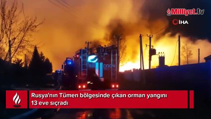 Rusya'da orman yangını evlere sıçradı! 500 kişi tahliye edildi