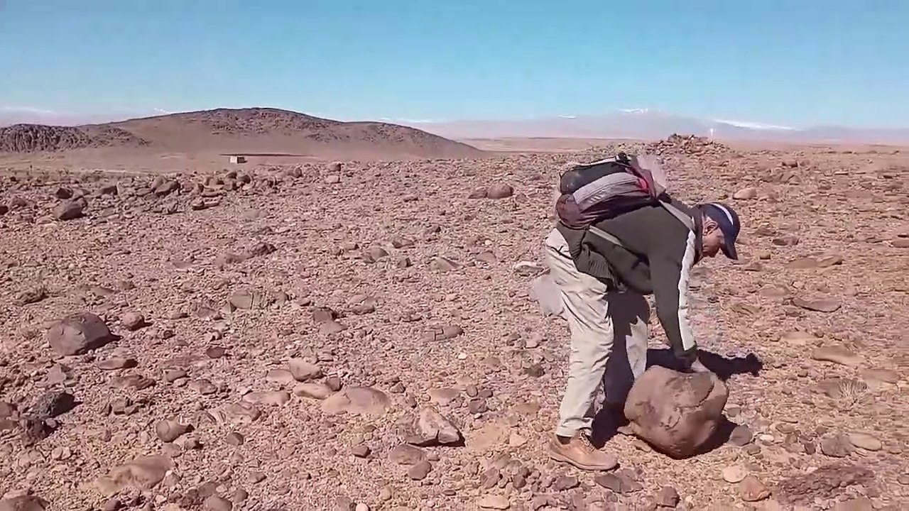 Hunting trip for yellow scorpions in the mountains of Morocco