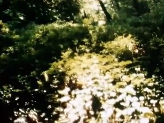 The Wind in the Willows The Wind in the Willows E021 – Harvest