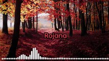 Rojana song lofi (Slowed & Reverb )