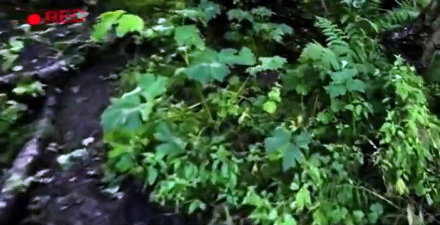 Alaskan Killer Bigfoot S01 E06