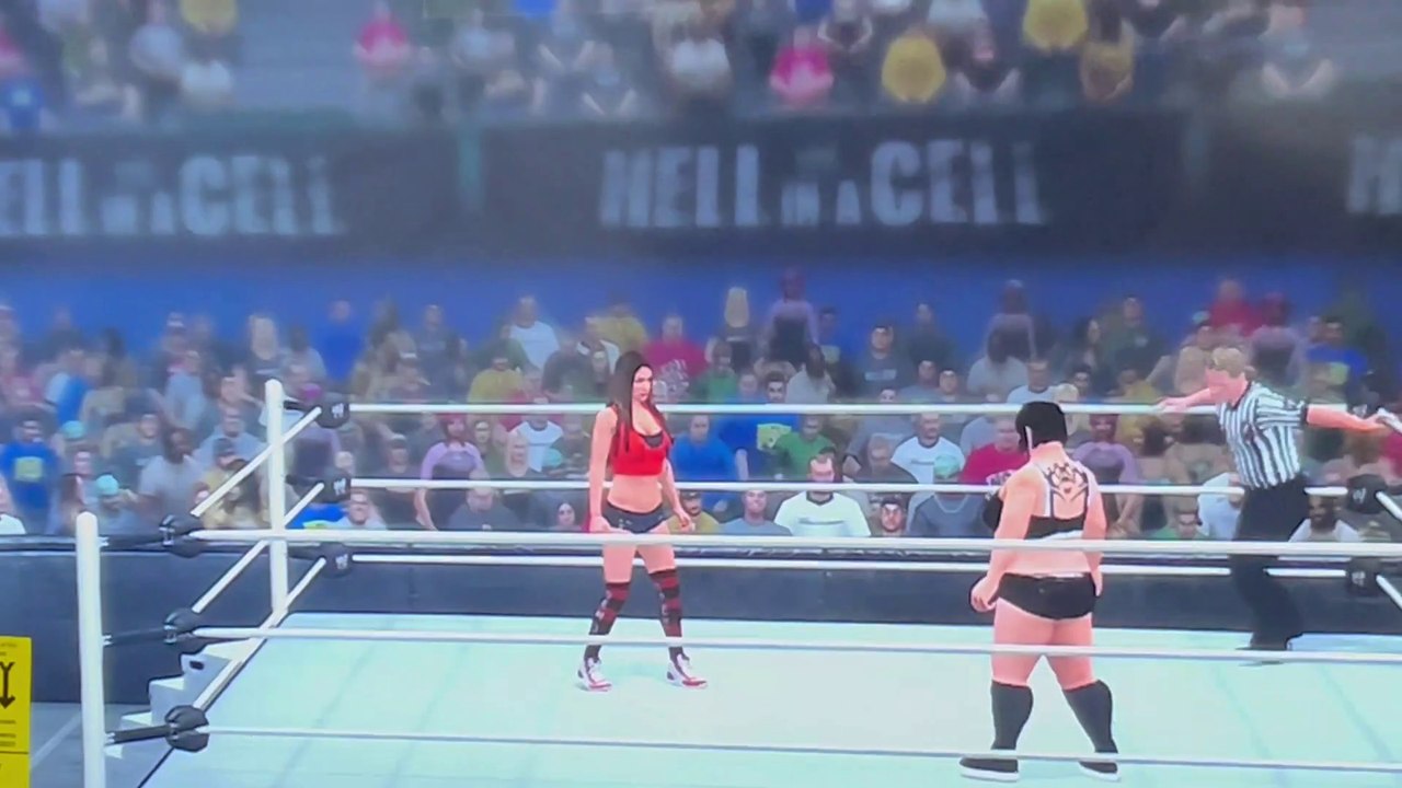 Breta vs Nikki Bella Title Match