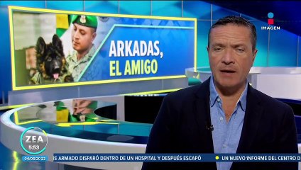 Perrito "Arkadas" ya es miembro oficial de la Sedena