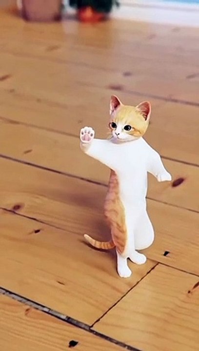 Video Funny