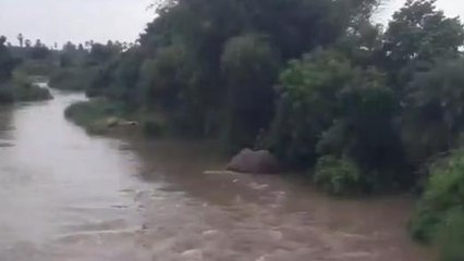 హుజురాబాద్: రెండు రోజులు భారీ వర్షాలు.. జాగ్రత్తగా ఉండండి..!