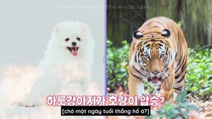 [VIETSUB] TO DO X TXT - EP.47