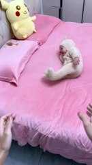 Baby Funny Moments | Cute Babies | Naughty Babies | Funny Babies #babies #baby #beauty #cutebabies