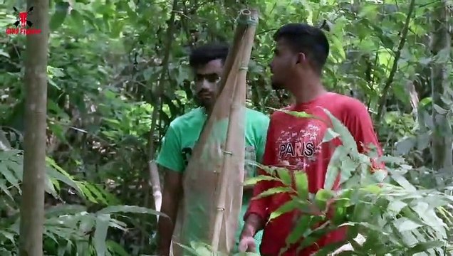 Tiger Attack Man in Forest Royal Bengal Tiger Attack Fun Made Movie (3)