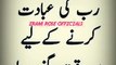 Heart Touching Urdu Lines -- Islamic Quotes Status