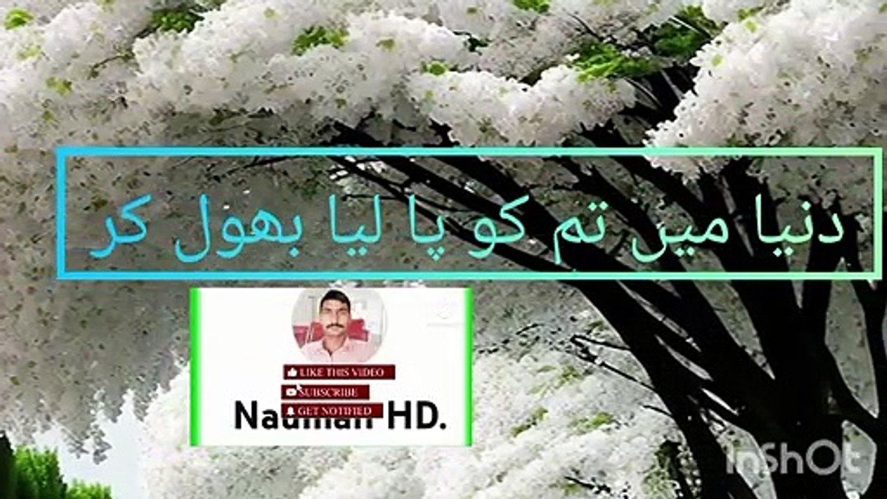 InShot_20230504_173800313