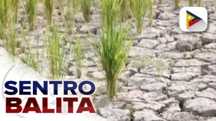 Mga polisiya at intervention sa pagtugon ng LGUs sa El Niño, nakalatag na ayon sa Union of Local...