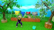 Baby Monkey KiKi washes clothes and goes to the toilet so funny _ KUDO ANIMAL KIKI